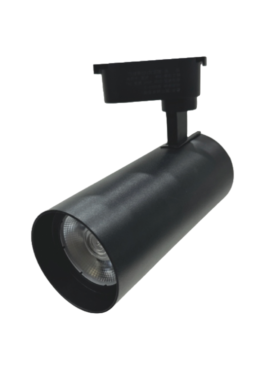 30W RAY SPOT - SIYAH KASA 4000K GÜN IŞIĞI